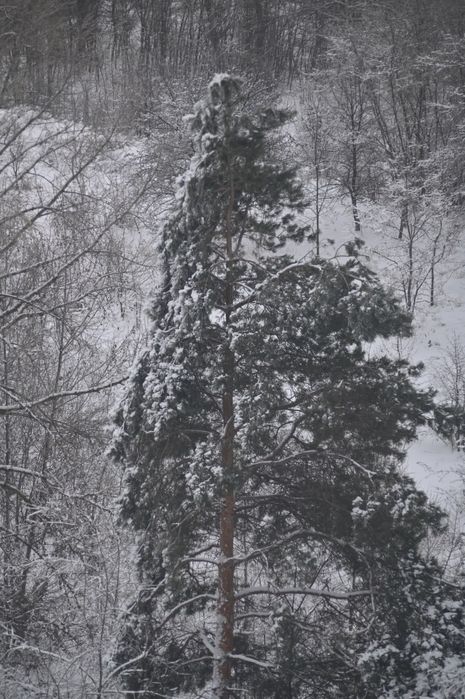 Объектив Юпитер 37а для Никон