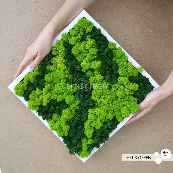 Знижка 50% Панно зі справжнім мохом Новорічне панно