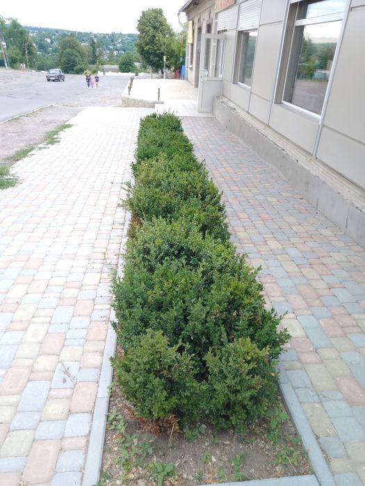 Оренда, продаж комерційної нерухомості