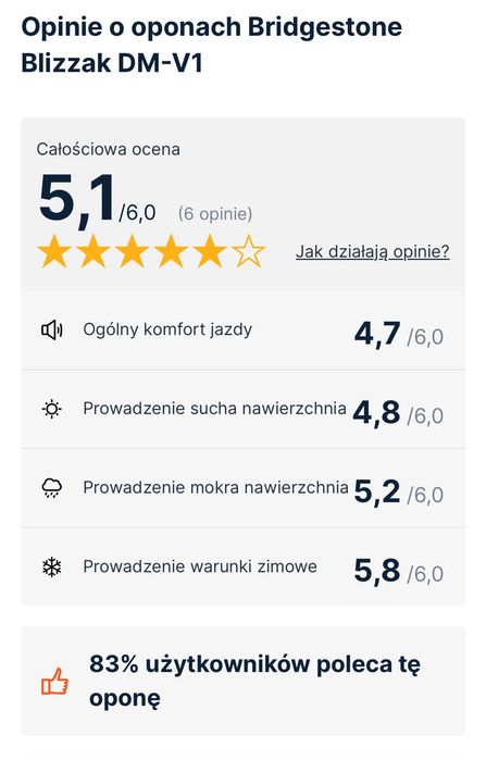 Opony Zimowe Bridgestone Blizzak DM V-1, P235/55 R19 101R (4szt)
