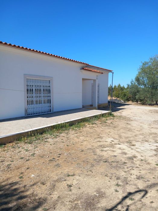 Oportunidade única | Unique opportunity