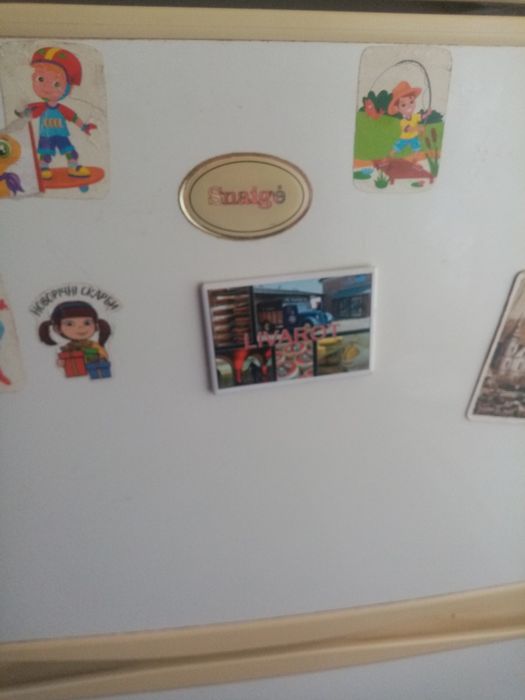 Холодильник сначь