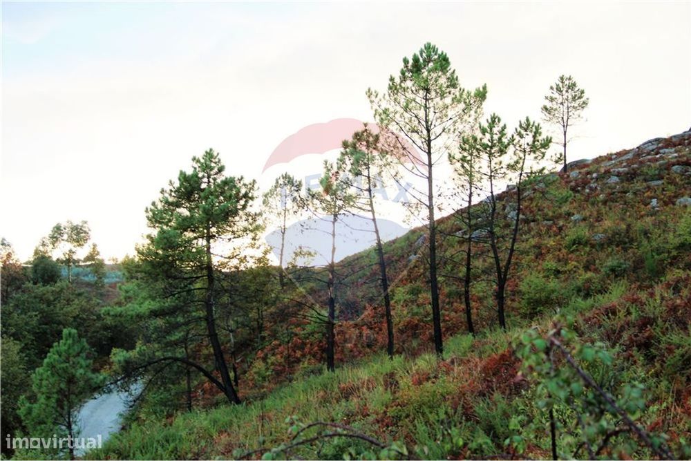 Terreno T0 para venda — Aboim, Felgueiras, Gontim E Pedraído, Braga