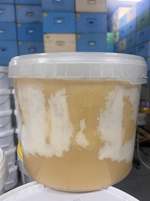 Miód pszczeli słonecznikowy,ule,pasieka,pszczoł,roje,odkłady pszczele