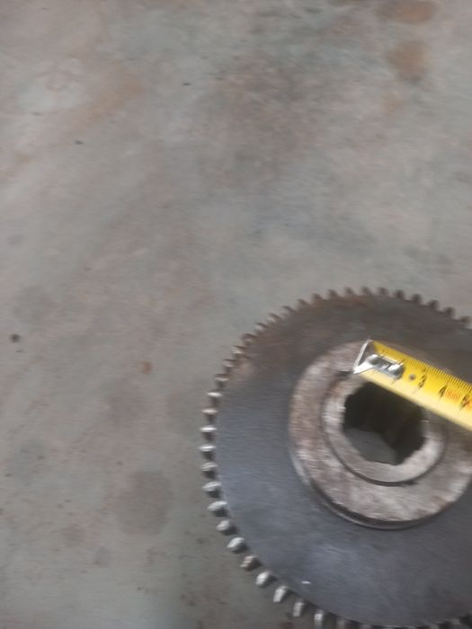 Koło wrzeciennika tuj