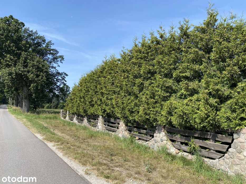 urocze siedlisko 40 km od Bydgoszczy