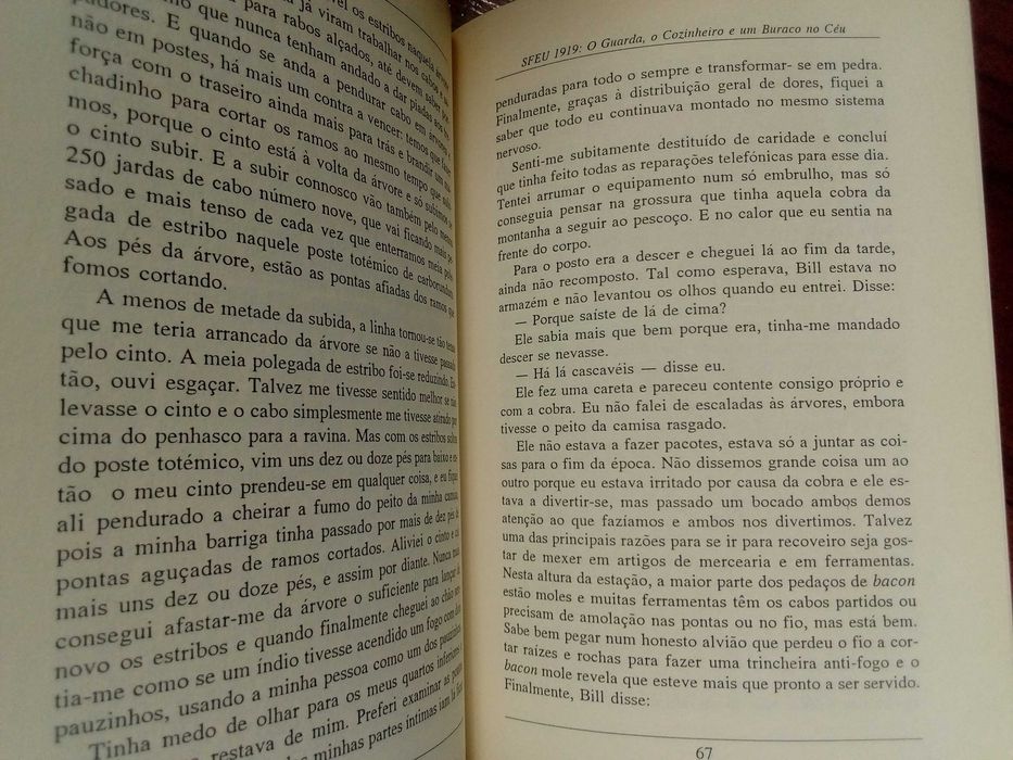 Norman Maclean - Lenhadores e chulos e SFEU 1919