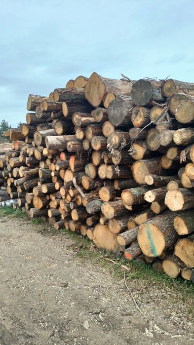 Transport drewna HDS, drewno opałowe