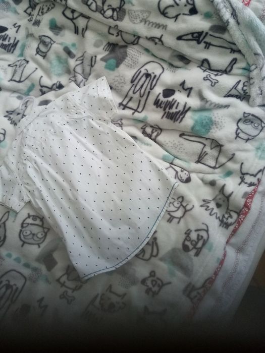 Koszula Cool Club dla chłopca