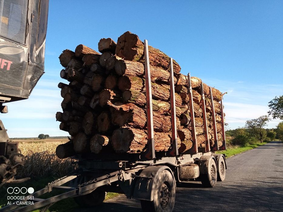 Drewno Opałowe. Drewno Kominkowe