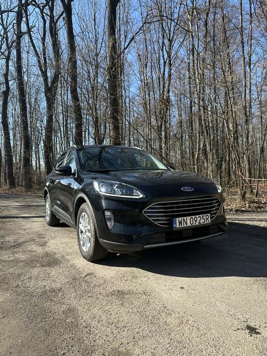 Ford Kuga Krajowy