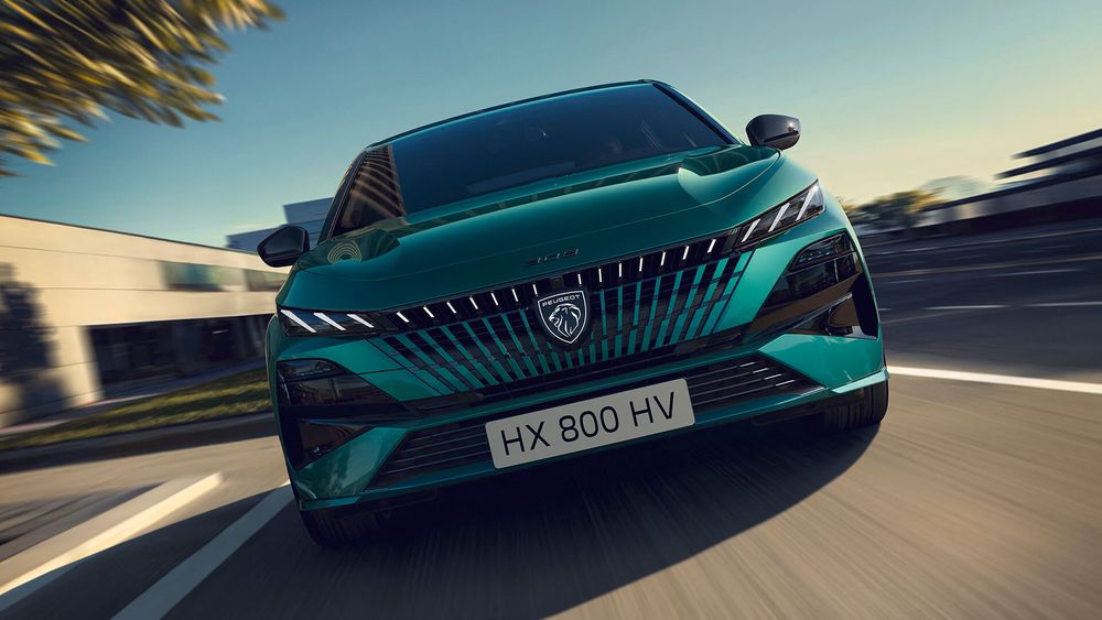 Zdjęcie w galerii numer 2