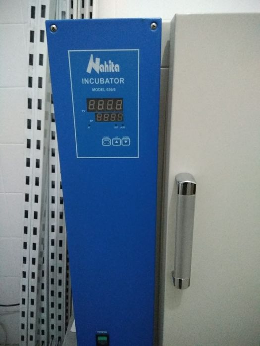 Estufa incubadora laboratorio