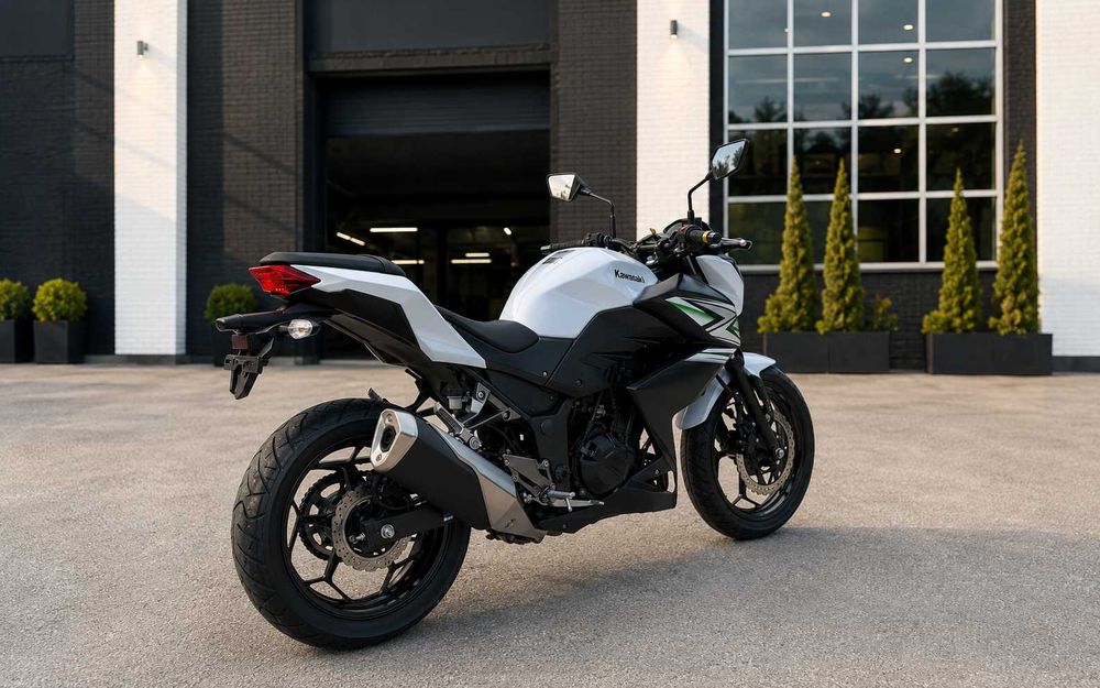 Kawasaki Z250 2013 рік, білий, пробіг лише 6 872 км