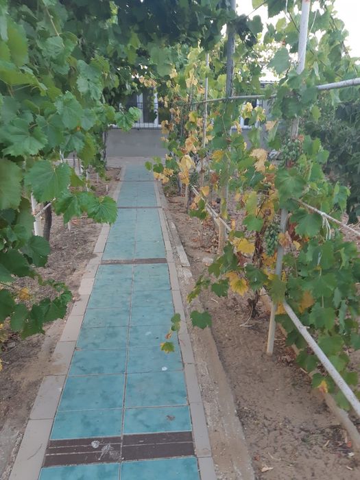 Продам Гараж-дом