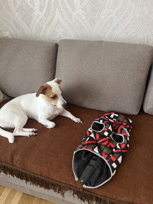 Куртка для собак 50 см