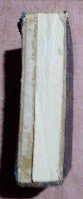 Deutsche Literaturgeschichte - prof Kurz 1927 unikat