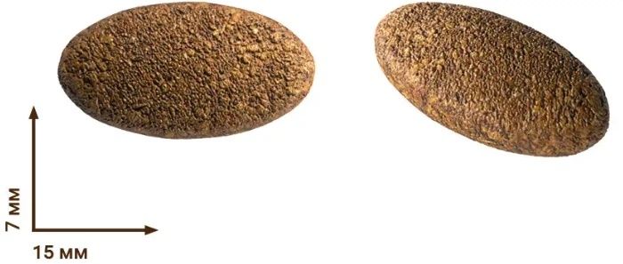 Гіпоалергенний сухий корм Home Food для дорослих собак