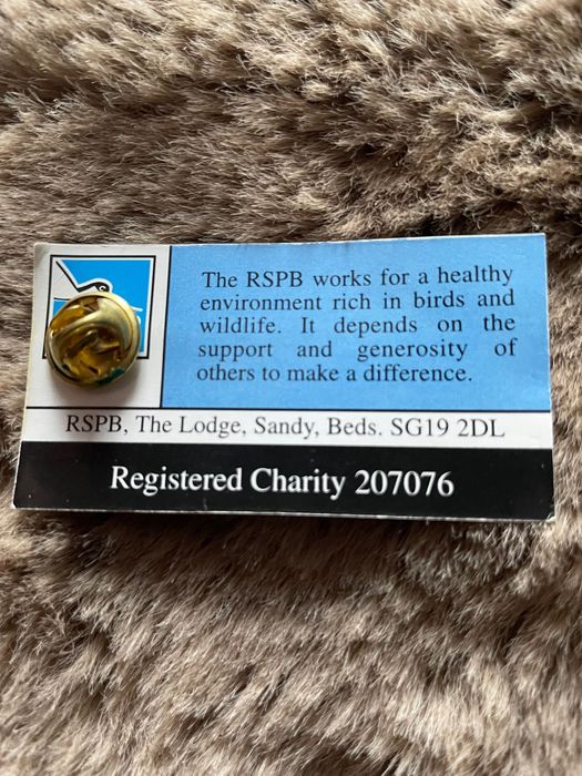 Przypinka Gil towarzystwo ochrony ptaków