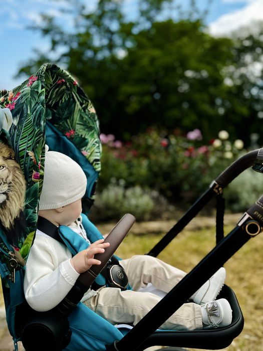 Коляска Cybex 2в1 + аксесуары,  б/у, лимитированная коллекция,