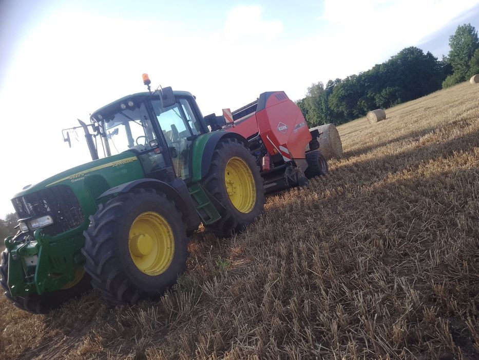 Siano bele 130-140cm