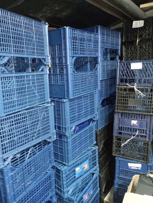 Продам пласмасові ящики.