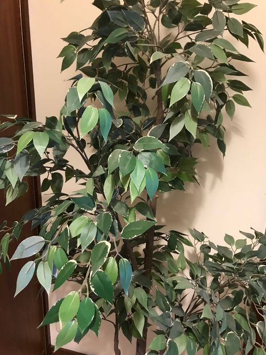 Planta artificial em vaso em vaso IKEA