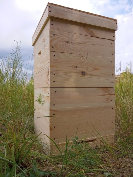 Вулик Дадан, улья Дадан