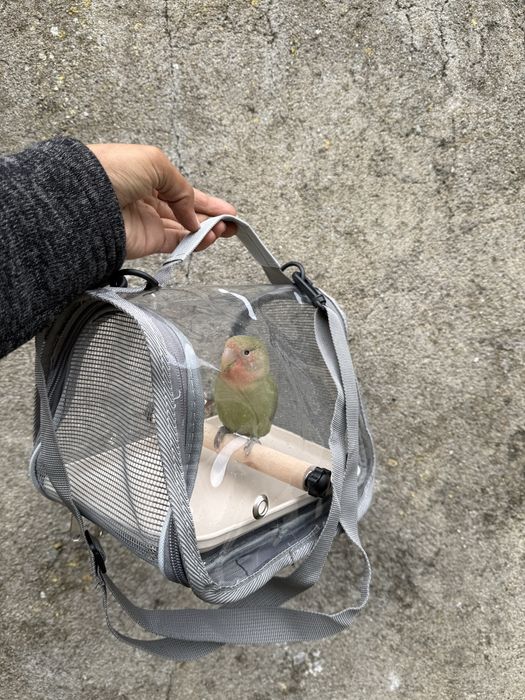 Bolsa de transporte de aves
