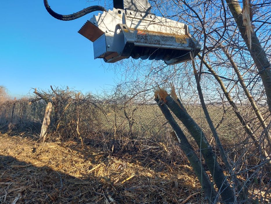 Czyszczenie działek, usuwanie korzeni, rekultywacja gruntu. Nysa