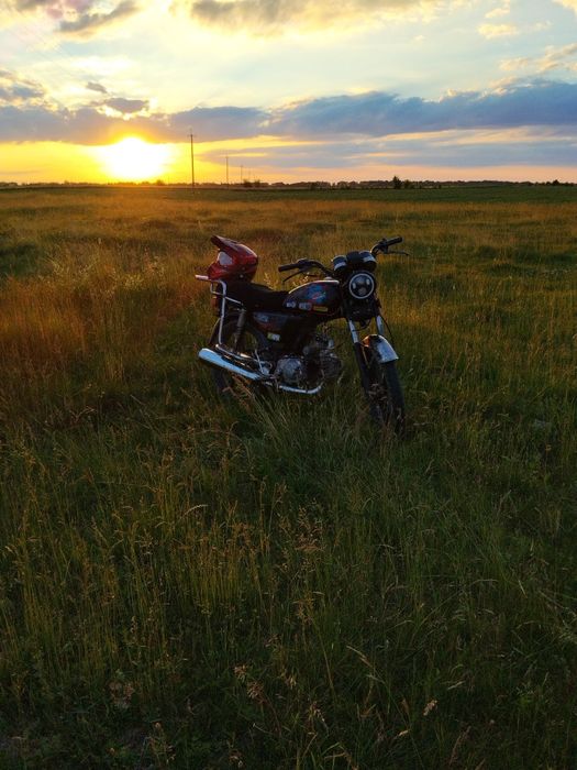 Продається альфа 110