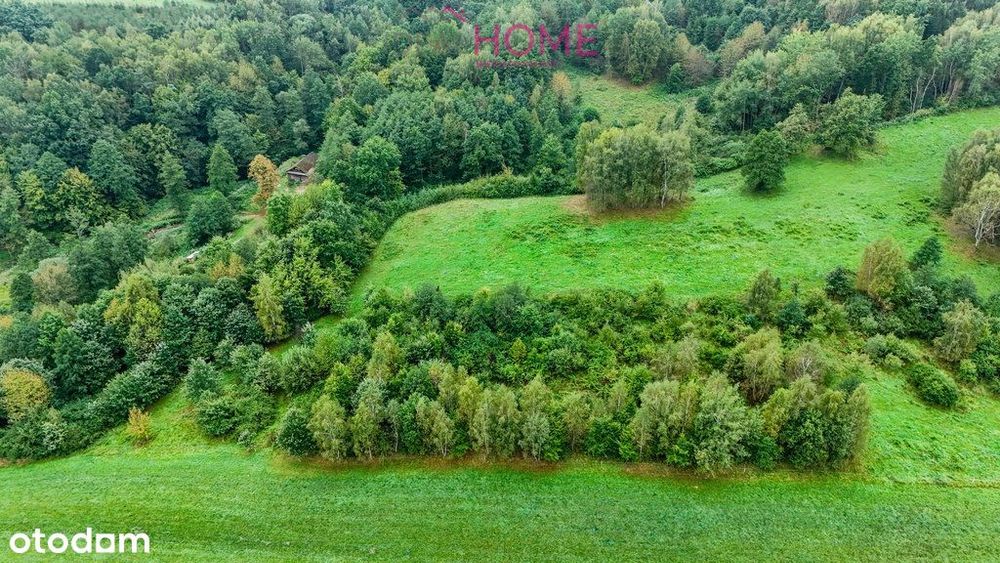 Nowy Borek 1,3675 ha- w trakcie Wz zagrodowa