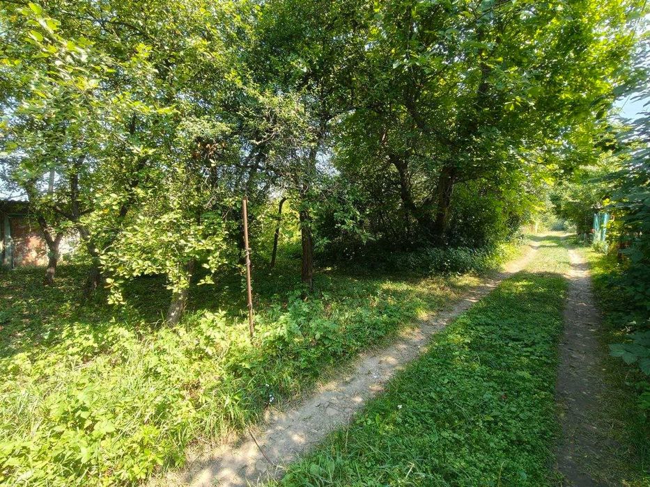 Продається дачна ділянка Черніїв, 4,5 сотки, садове товариство "Смерічка", річка, світло, природа