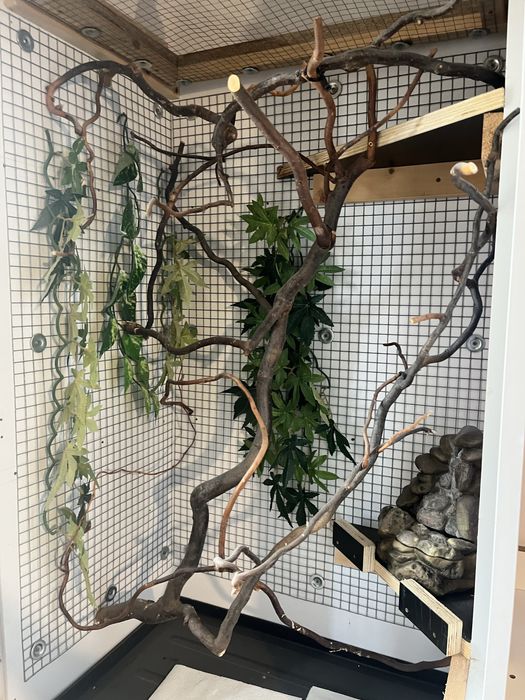 Terarium szafa szafo/terarium