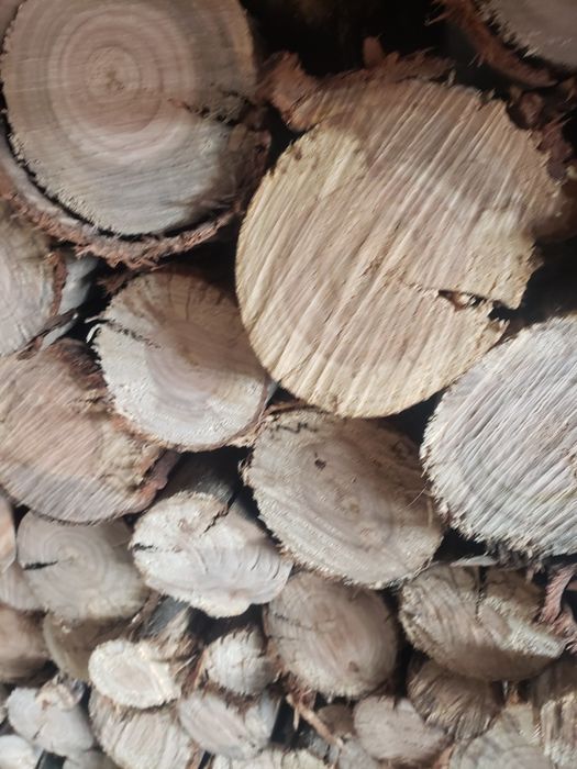 Vende-se Lenha de Eucalipto/Eucalyptus Firewood For Sale