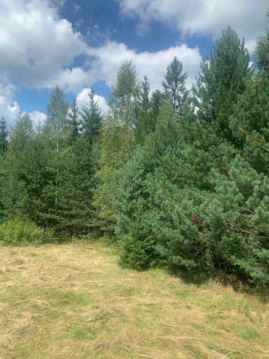 Дерев’яний будинок з панорамним видом на гори | автономне живлення