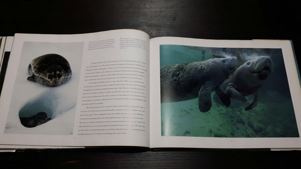 Livro de fotografias a vida selvagem