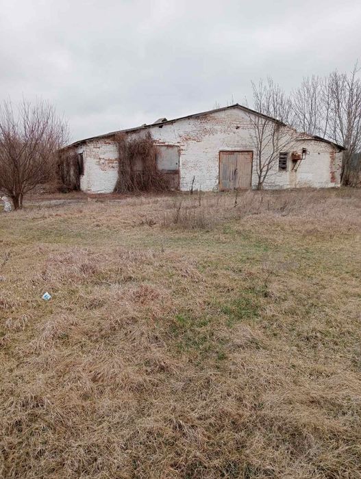 Комплекс споруд, Київська область Богуславській р-он с Чайка