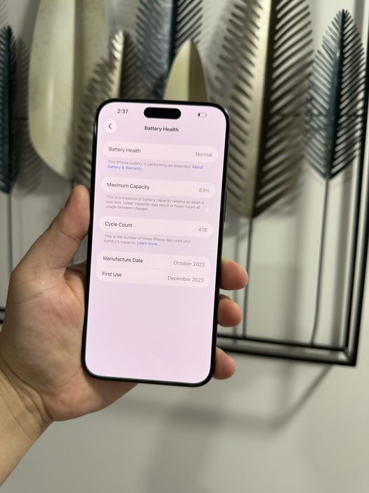 Iphone 15 pro max 256 gb 83% e - sim