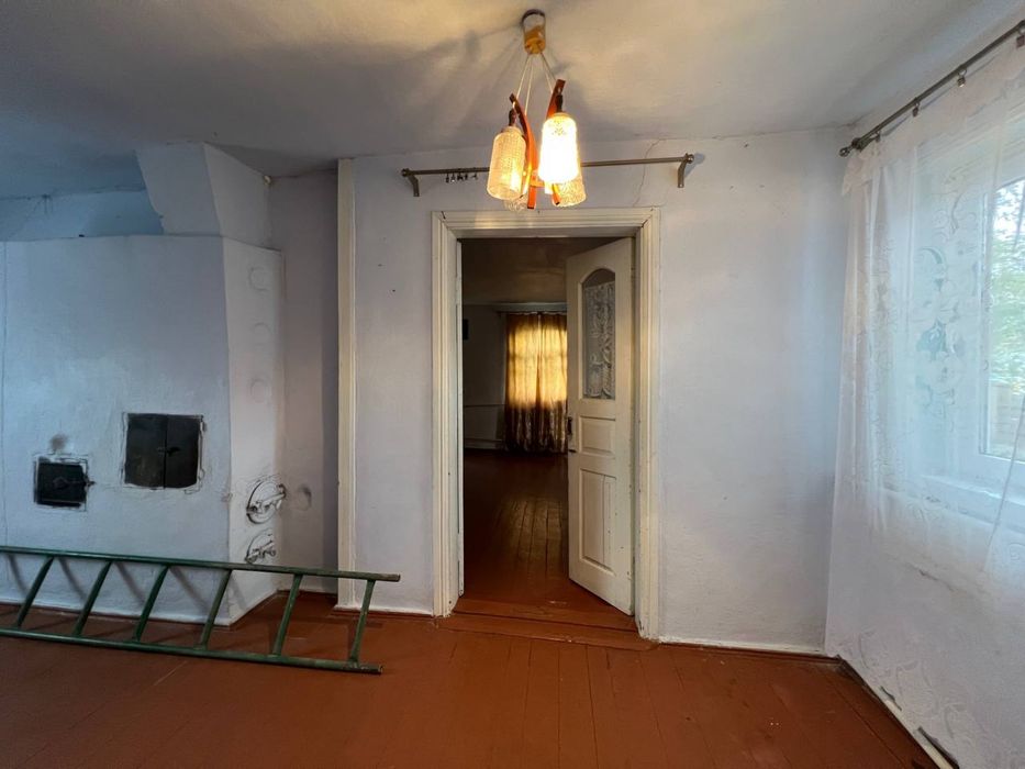 Житловий будиночок на великій ділянці