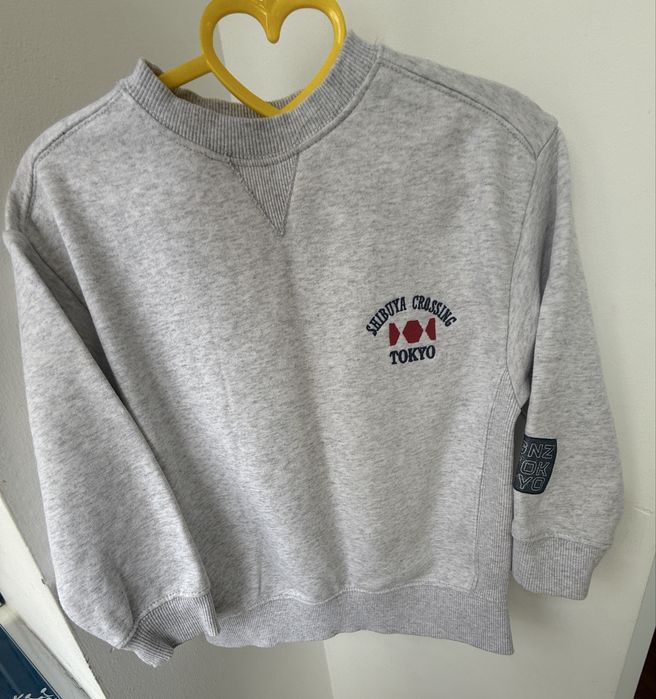 Реглан на хлопчика Zara