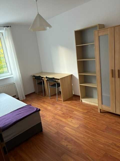 mieszkanie na wynajem