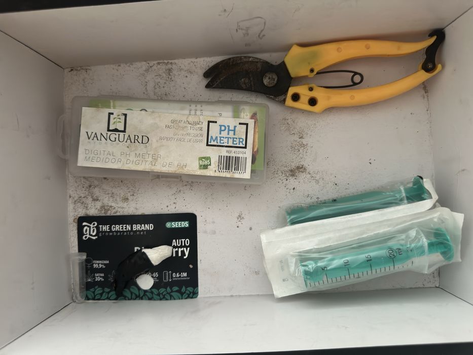 Kit cultivo indoor