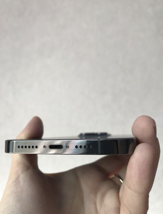 iPhone 13 pro max  1 TB