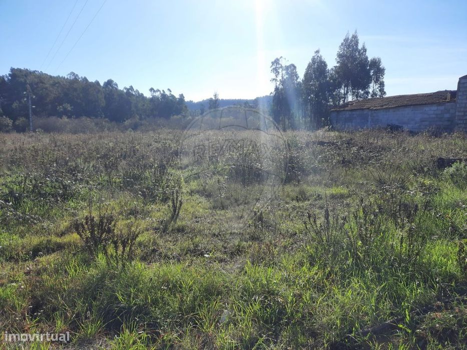 Terreno  para venda — Almagreira, Leiria