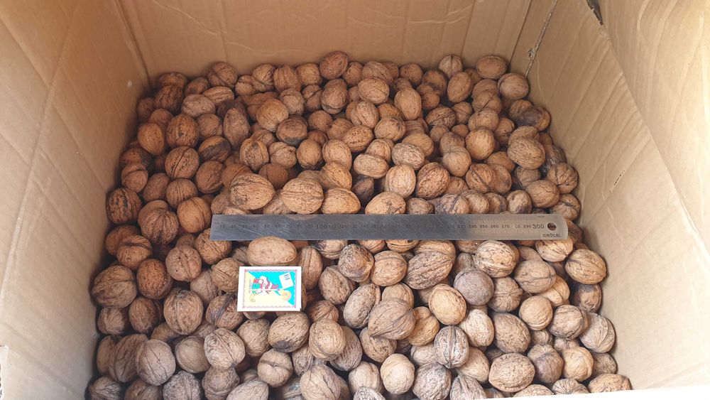 Отборный цельный грецкий орех. Не колотый, не чищеный. Урожай 2025 г.