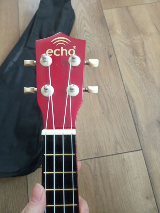 Ukulele Echo ładny stan