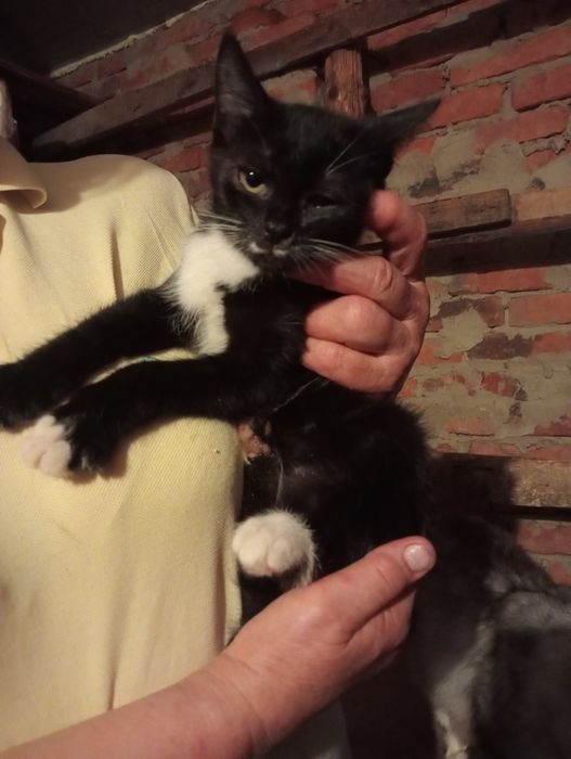 Дівчинка 2 міс потрібна сім'я