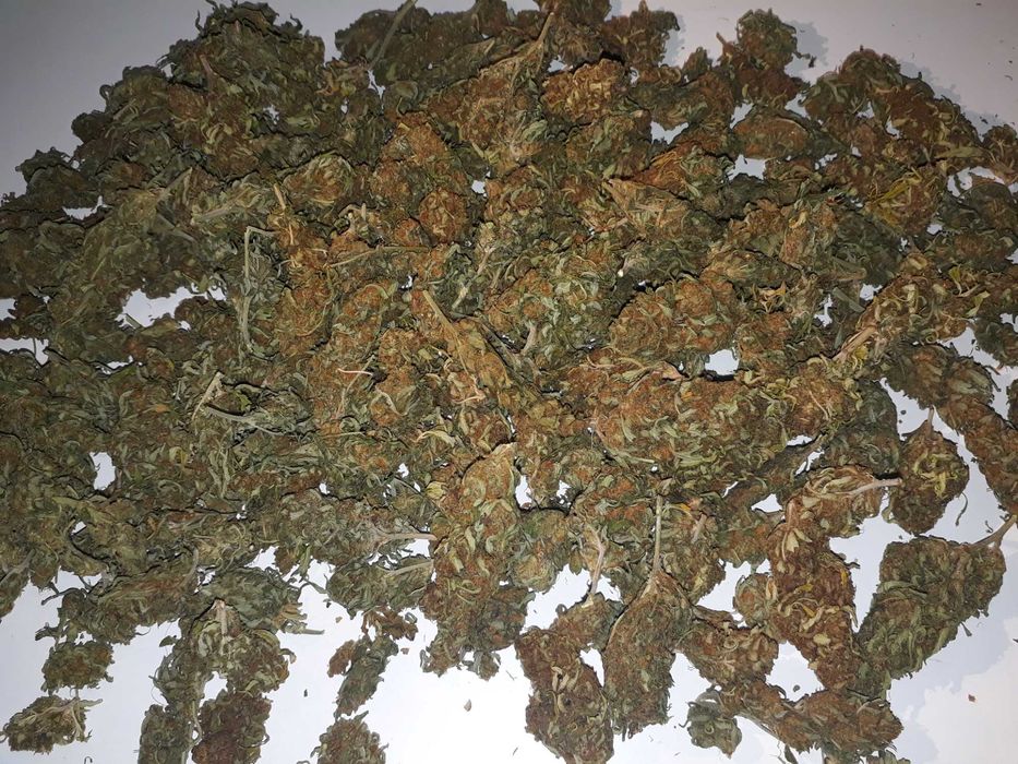 Susz Konopny Lilac Diesel 15g Marihuana CBC THC CBL CBN Susz Roślinny