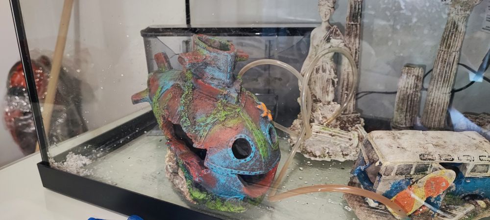 Aquário com acessórios